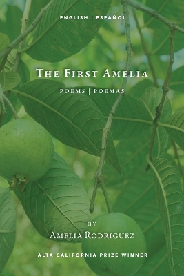 The First Amelia book