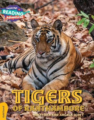 Tigers of Ranthambore Gold Band book