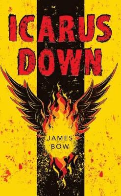 Icarus Down book