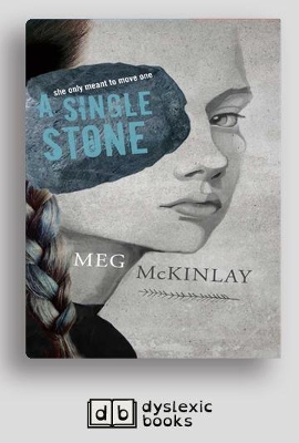 A Single Stone book
