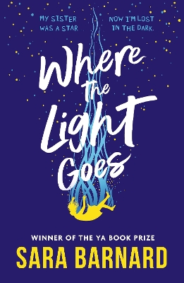 Where the Light Goes book