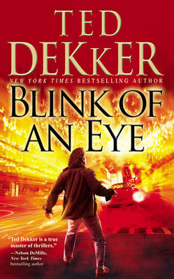 Blink of an Eye book