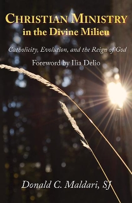 Christian Ministry in the Divine Milieu: Catholicity, Evolution, and the Reign of God book