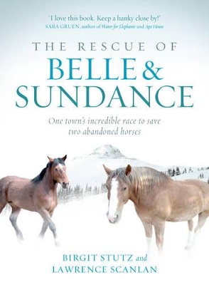 The Rescue of Belle and Sundance: One Town's Incredible Race to Save Two Abandoned Horses book