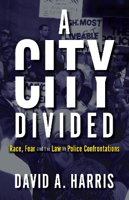 A City Divided: Race, Fear and the Law in Police Confrontations book