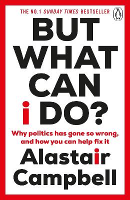 But What Can I Do?: Why Politics Has Gone So Wrong, and How You Can Help Fix It book