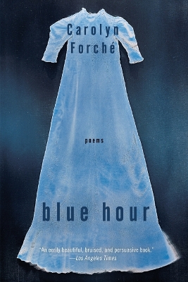 Blue Hour book