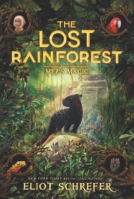 The Lost Rainforest #1: Mez's Magic book