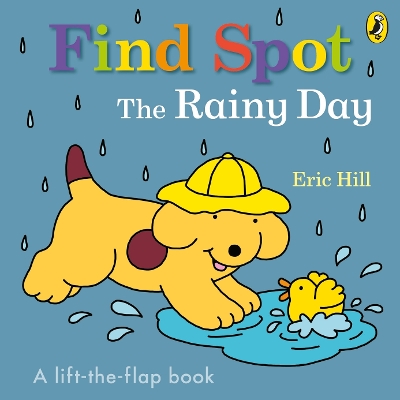 Find Spot: The Rainy Day: A Lift-the-Flap Story book