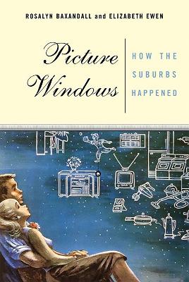 Picture Windows book