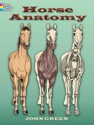 Horse Anatomy Coloring Book by John Green