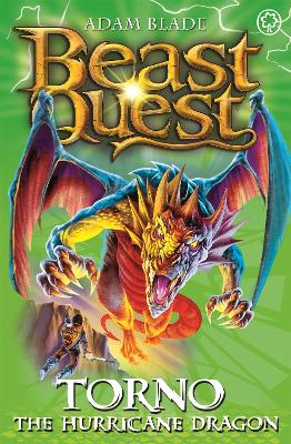 Beast Quest: Torno the Hurricane Dragon book