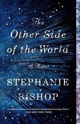 Other Side of the World book