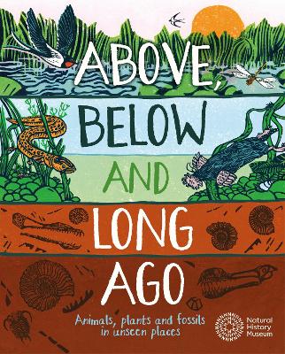 Above, Below and Long Ago: Animals, plants and fossils in unseen places by Michael Bright