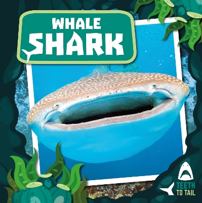 Whale Shark: Teeth to Tail book