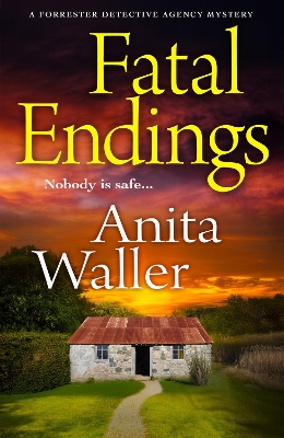 Fatal Endings: A BRAND NEW completely addictive crime series from Anita Waller book