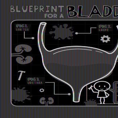 Blueprint for a Bladder book