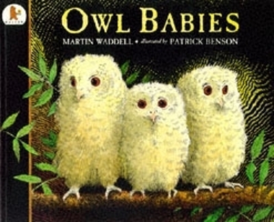 Owl Babies (Big Book) book