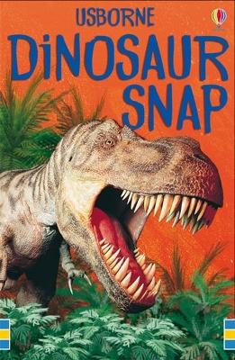 Dinosaur Snap book