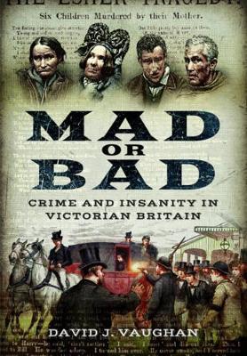 Mad or Bad book