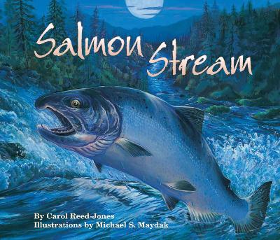 Salmon Stream book