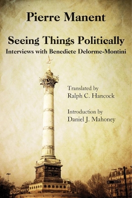 Seeing Things Politically book