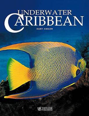 Underwater Caribbean by Kurt Amsler