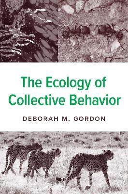 The Ecology of Collective Behavior book