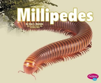 Millipedes by Nikki Bruno Clapper