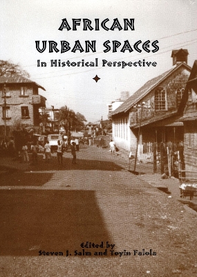 African Urban Spaces in Historical Perspective book