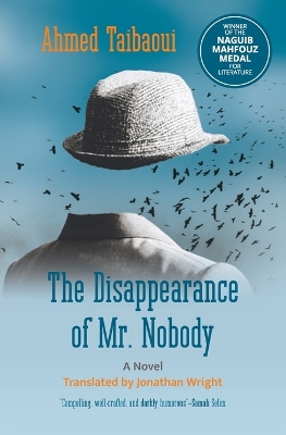 The Disappearance of Mr. Nobody: A Novel book