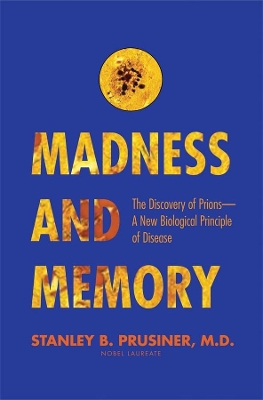 Madness and Memory book