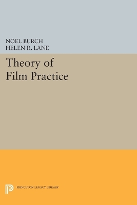 Theory of Film Practice book