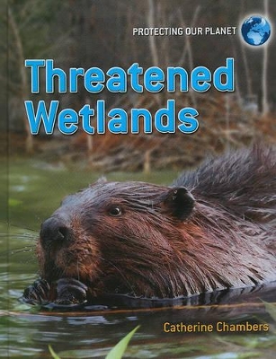 Threatened Wetlands by Catherine Chambers