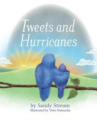 Tweets and Hurricanes book