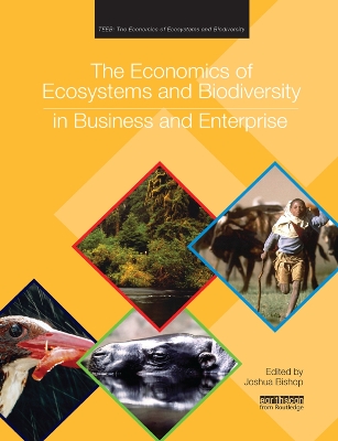 The Economics of Ecosystems and Biodiversity in Business and Enterprise book
