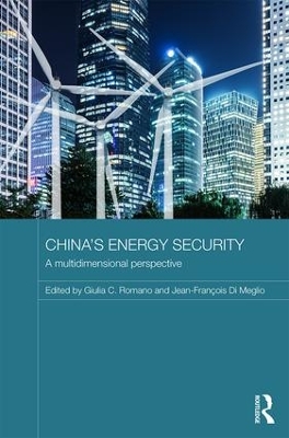 China's Energy Security book