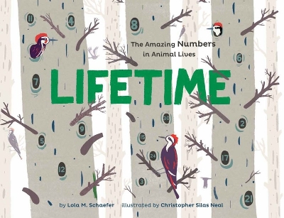 Lifetime by Lola M. Schaefer