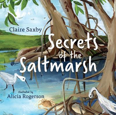 Secrets of the Saltmarsh book