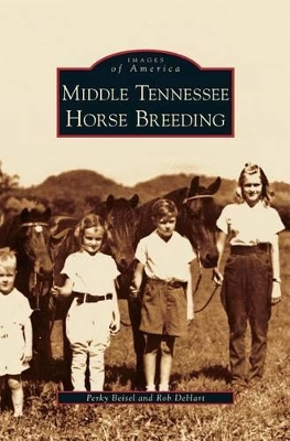 Middle Tennessee Horse Breeding by Perky Beisel