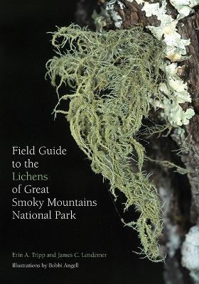 Field Guide to the Lichens of Great Smoky Mountains National Park book