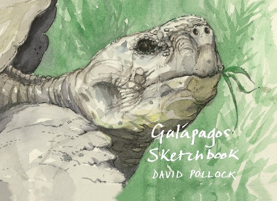 Galápagos Sketchbook book