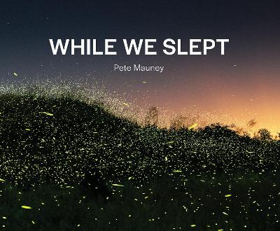 While We Slept book