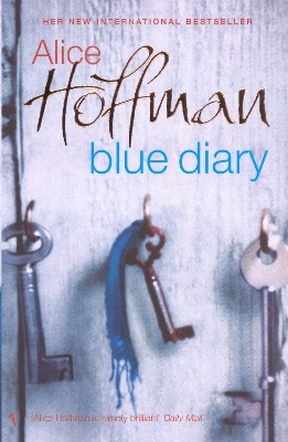 Blue Diary book