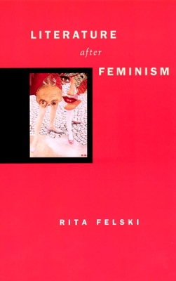 Literature After Feminism book