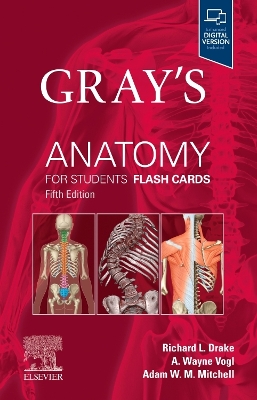 Gray's Anatomy for Students Flash Cards by Richard L Drake