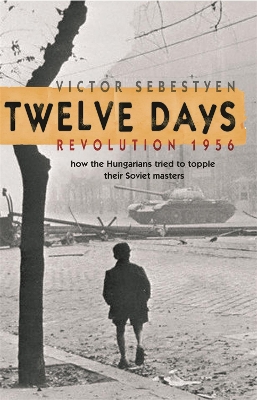 Twelve Days book