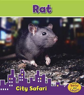 Rat by Isabel Thomas