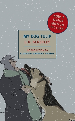 My Dog Tulip book
