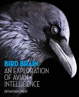 Bird Brain: An exploration of avian intelligence by Nathan Emery